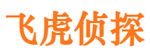 白碱滩侦探公司